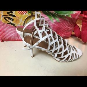 Madden Girl No size shown